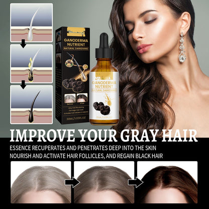 Black Ganoderma Lucidum White To Black Hair-Restorer - Darkens Grey and White Hair.