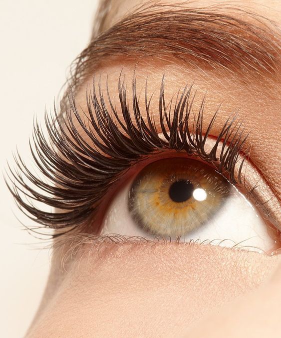 PHOERA Mascara Eyelash Extension