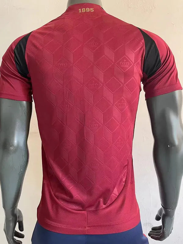 2024-25 Belgium Home Player Version Soccer Jersey