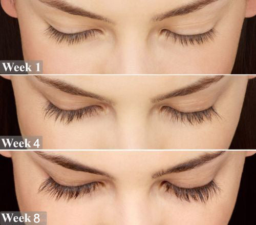 PHOERA Mascara Eyelash Extension